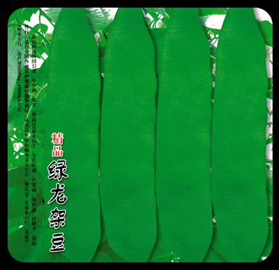 绿龙架豆